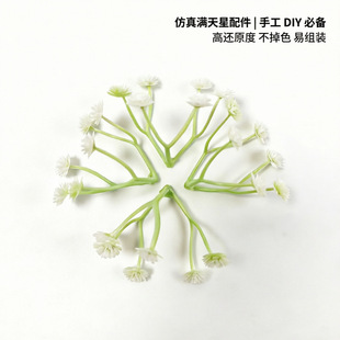 ���滨�M��������ˮ������b��ֹ�DIY����Gֲ�[�����Wins�L