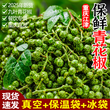 �ؑc���~�ౣ�r�໨��5��������؛��հ��r�ٽ������������{ζ��