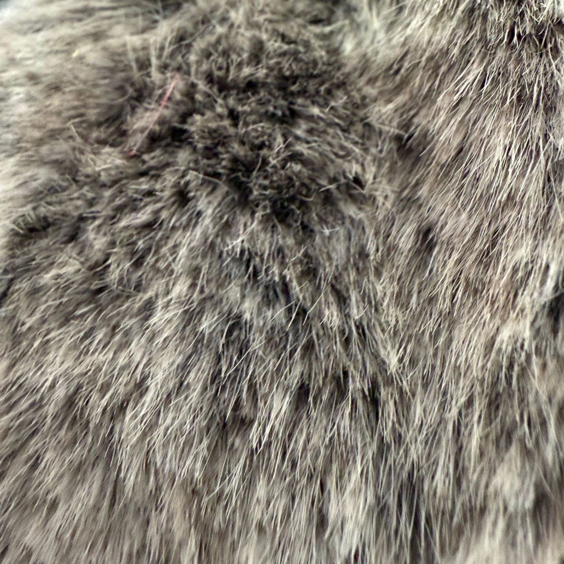 小金貂染尖背印刮底毛绒面料服装玩具服装家纺鞋帽箱包布料