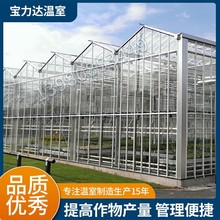 現代化溫室大棚 鍍鋅鋼架結構花卉培育種植 中空玻璃智能溫室大棚