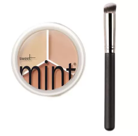 Three color concealer + 270 brush