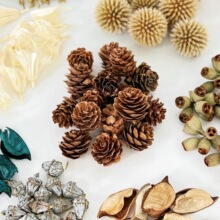 �ɹ���������ɼ���M�ϲ��ϰ��ִ��朶�o����޹�ֹ�����DIY