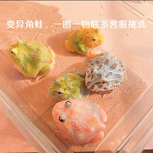 �������ܻ��w�����^�p���S��G�ǲ�ݮ����Ƥ����Ĩ�走�S�Ѡ�����