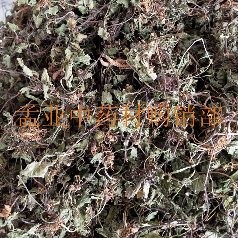 中药材雷公根 积雪草马蹄草铜钱草十八缺蚶壳草落得打崩大碗-阿里巴巴
