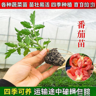 �m������t���緬�����}Ů�����������߲�������������������ˮ��