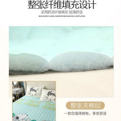 Four Seasons Universal Non-slip Machine Washable Thin Mattress Protector with Thick Tatami Bed Mattress Cover for Single and Double Use Student Dormitory