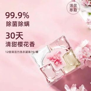 Five-In-One Camellia Laundry Beads, Fragrance Beads, Powerful Decontamination and Fragrance Beads, Mite Removal, Hand Wash Laundry Detergent, Family Pack