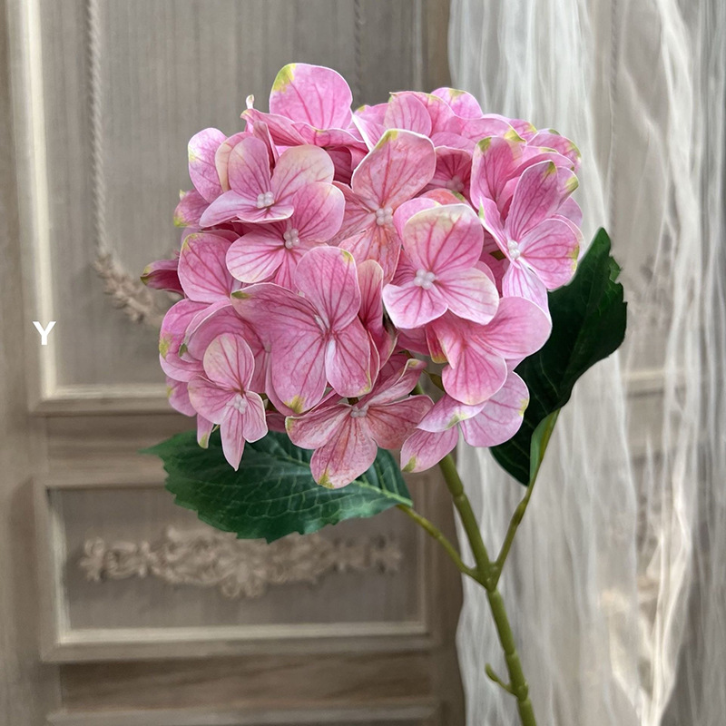 3D 수국-그린 핑크