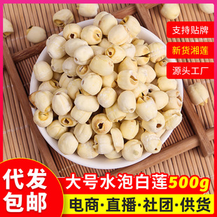 ���ϴ��w��ˮ��ɏ500gȥо��ɏȥо��ɏ�Ӵ�̖ˮ��ɏ֧�ִ��l���]