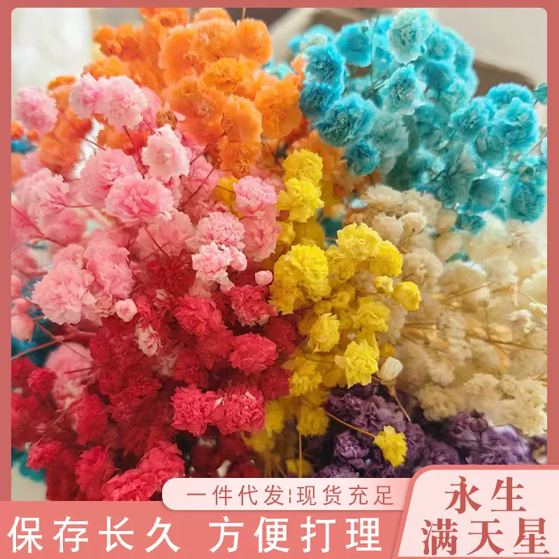云南永生满天星厂家货源家居装饰花束配材送女友闺蜜礼物现货批发