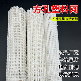 �S�ҬF؛���lС�����ϾW�̌W�����ϰ�ɫ�������ϾW��Ƭ���ϾW