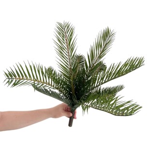 ����Gֲ11�~�������K�Fֲ���F��͏d����҃��쾰�F���~��������