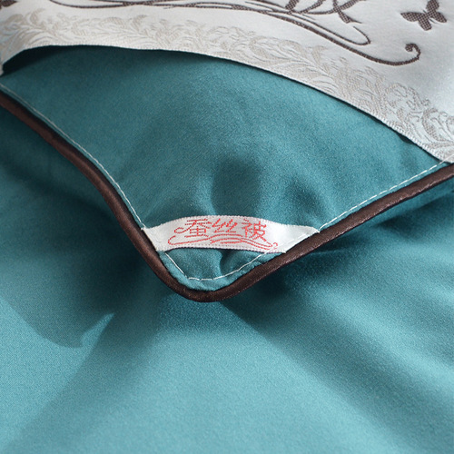  New Summer Cool Blanket Lokacotton Filled Quilt Thick Warm Comfortative Dorm Home Bedding with Wholesale Support