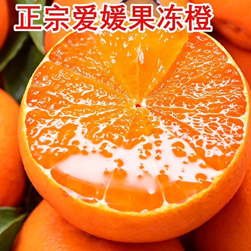 爱媛38果冻橙新鲜爱媛橙产地直采直发手剥皮橙子现摘甜橙一件代发 餐饮生鲜厂家批发实拍图