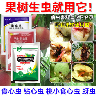 ����ʳ���x���x������x���x��Сʳ���x���x�����Ҙ����ͨ���ײ�