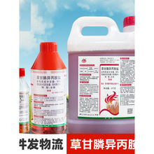 41%�ݸ�좮������} ���و@�s�ݠ������݄��ݸ���