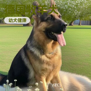 ���N������Ȯ��Ȯ���w����С���ǹ��Ѿ�Ȯ����Ȯ܊��Ȯ����Ȯ