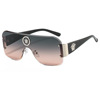 Fashionable sunglasses suitable for men and women, human head, glasses, European style