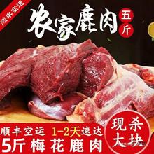 梅花鹿肉新鲜梅花鹿腿肉鹿腱子生肉5斤批发冷链运输鹿场直销