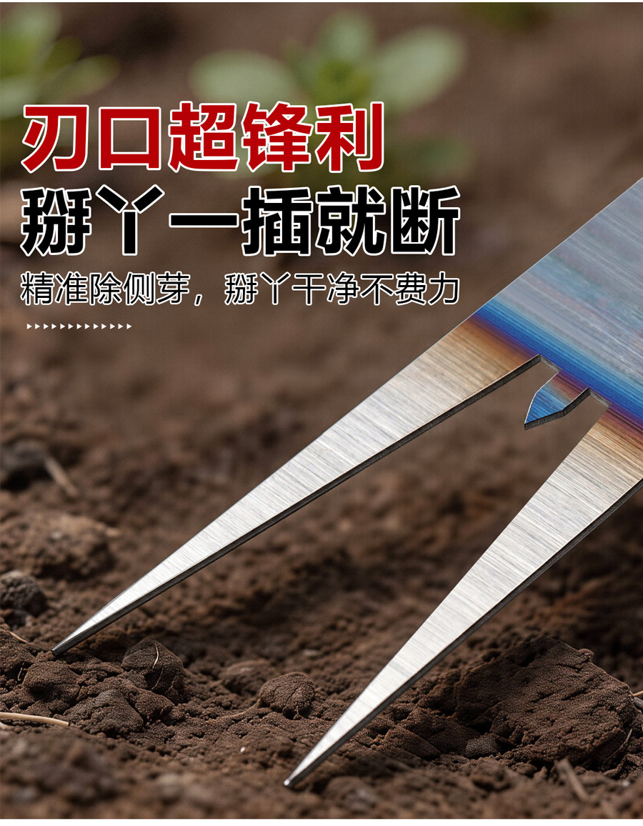 未标题-1_05.jpg