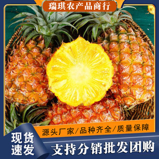 �V�|��ˮ���}10�����rˮ�������Fժ������Ƥ��˺�P���荲��}����