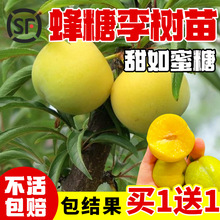 �������Ә���޽��ش�����Ó�������÷�������ϱ����Nֲ�������