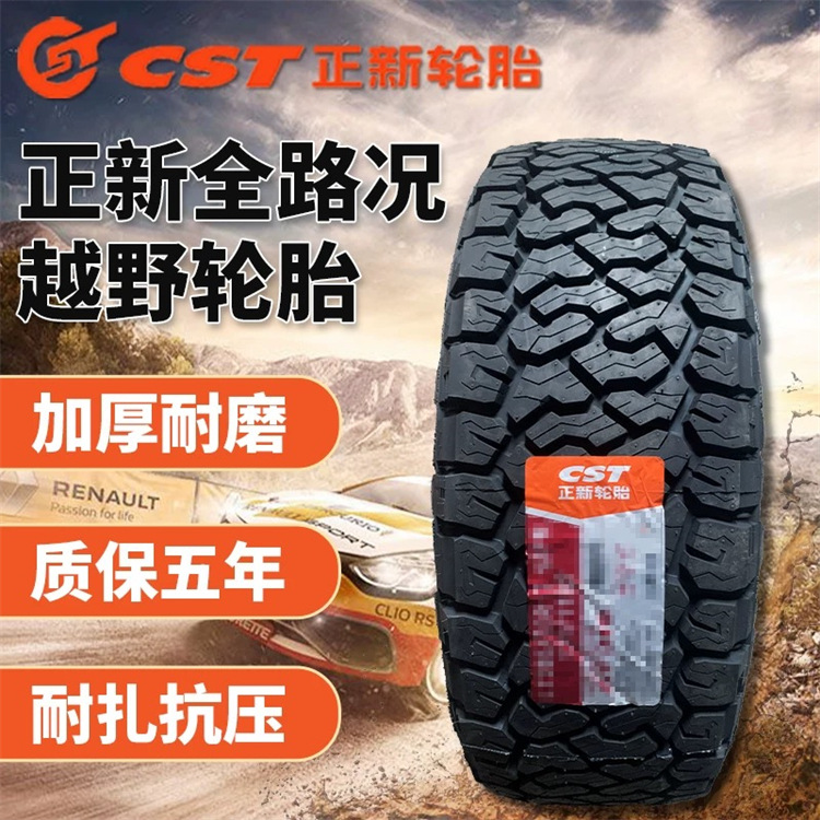 正新10_副本1.jpg