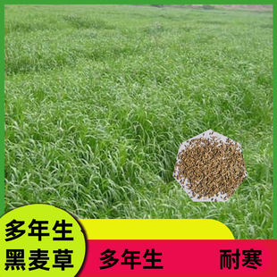 �����������ݷN�Ӵ���Nֲ�m�ϸߺ��ε؅^��ů��ˬ�h�����L���ݷN