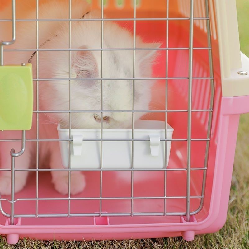 (2개) 공장 도매 개 고양이 고정 애완 동물 그릇 고양이 그릇 토끼 그릇 새 그릇 개 그릇 그릇 공기 상자 매달려 그릇 안티 노크