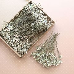 跨境热销多彩水晶草永生花干花饰品婚礼礼物装饰伴手礼云南直销