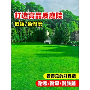 ����é�����ͺ���ƺ�ݷN���ļ����o�¾G����������������`̤ͥԺ