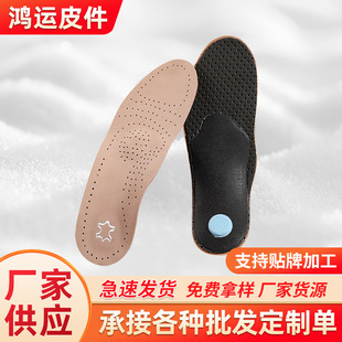 SֱN--ƤCЬ|pƤЬ|㹭|ƽC