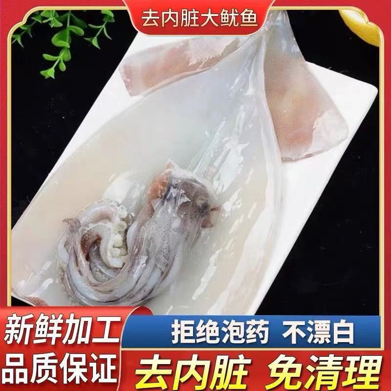【去内脏免清理大鱿鱼】鱿鱼新鲜一整箱冰鲜海鱼鱿鱼