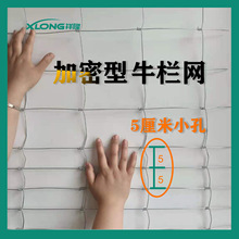 出口加密型牛栏网5cm小孔养殖铁丝网草原网防锈铁丝网农场围栏