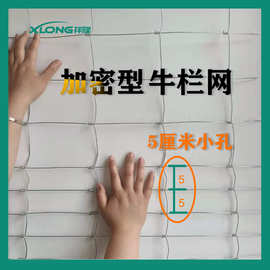 出口加密型牛栏网5cm小孔养殖铁丝网草原网防锈铁丝网农场围栏
