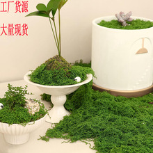 ������̦�z��ë�q�����̦�\΢���^���Ô[����ƺ�辰�����b��쾰