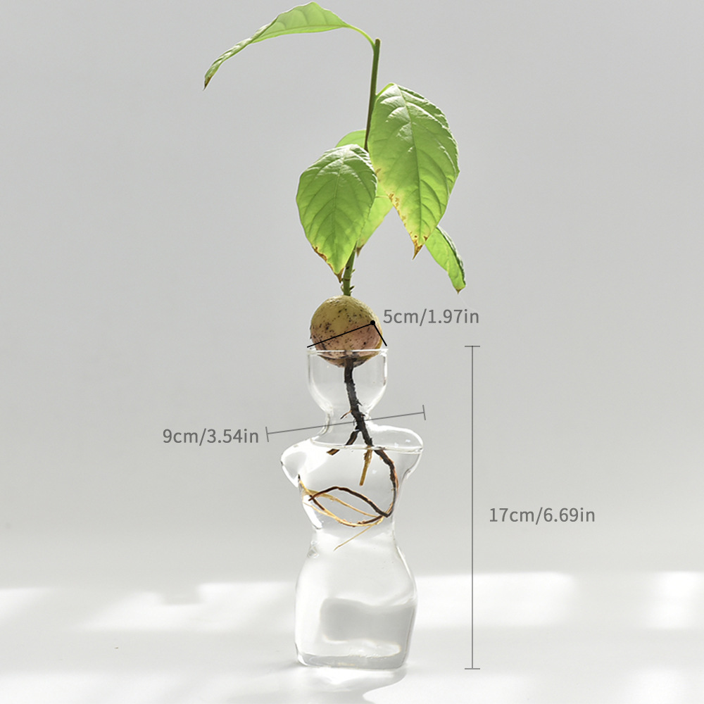 Jarrón hidropónico de aguacate japonés, plantación de semillas de hueso de aguacate, recipiente de cultivo, jarrón especial, jardinería