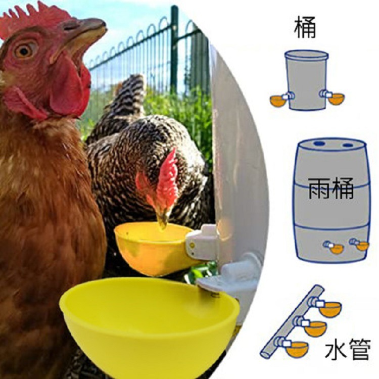 Gran pollo pato ganso bebedor automático tazón paloma codorniz alimentación beber tazón aves de corral automático beber colgando