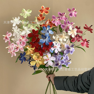 ���Q3D5�^�f���m�����m��Y�ñ���·���廨�m���ٻ����lA���滨