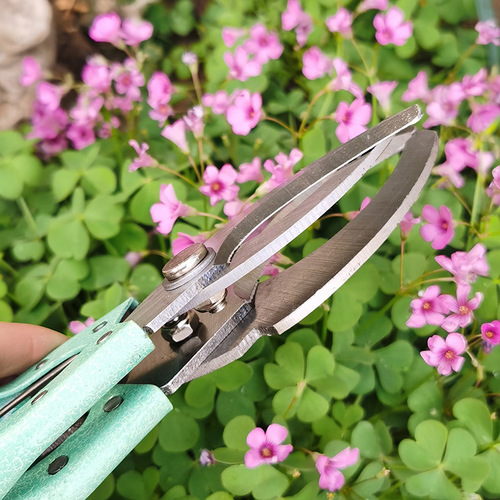Hardware garden tools fruit tree peeler pruning shears ring cutting scissors green peeling knife ring cutting knife ring cutting shears