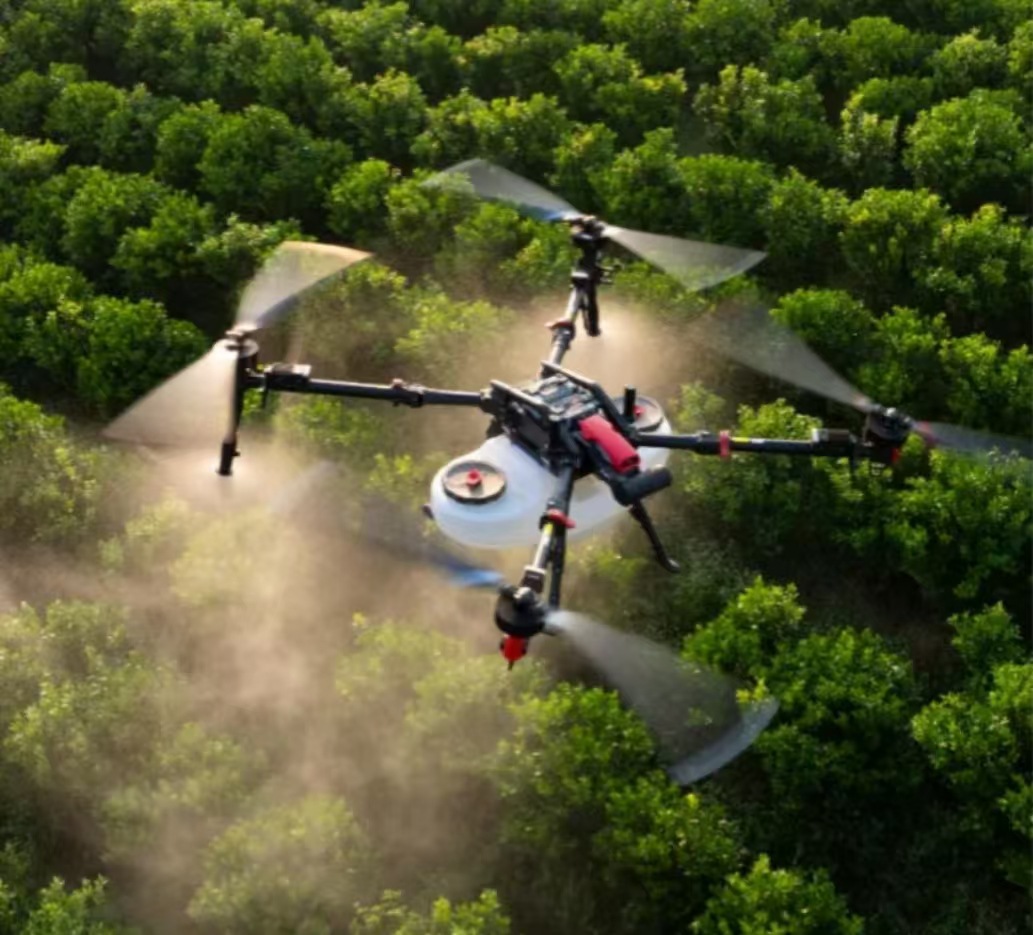 微信图片_20250604190045