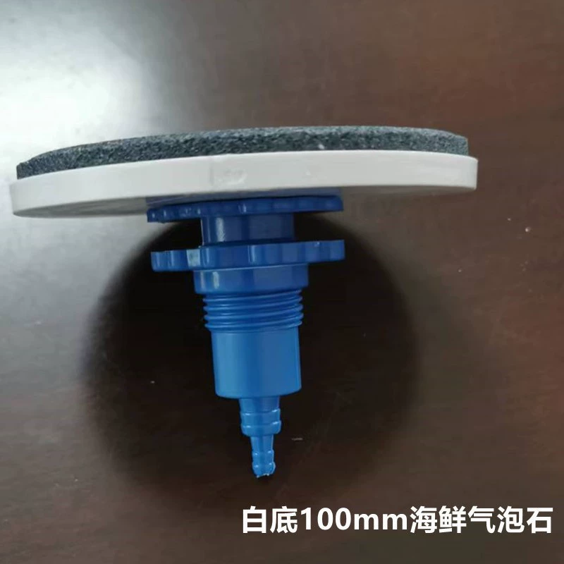 Прямые продажи с фабрики, морепродукты, пруд, морепродукты, пузырьковый камень