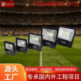 太阳能灯;路灯;投光灯