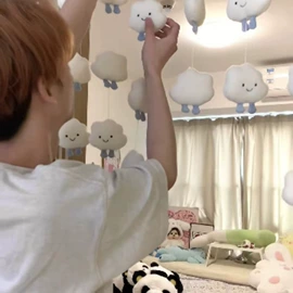 家用防尘罩;中国结;收纳盒