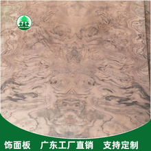 ��ľ���塿 UV����  �ں��Ҙ��� �Ҿ߰� ���� �T�b�� ľ����