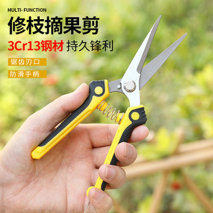 �@ˇժ�������P�ʡ����֦������ժ���Ѽ����܈@�ּ�����֦����