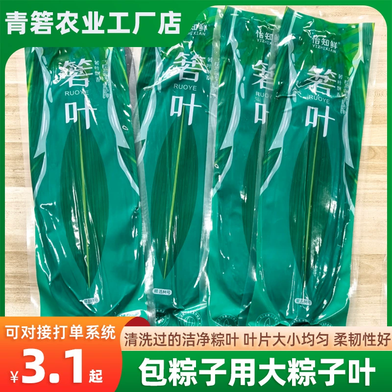 【Свежие листья бамбука】Оптовые поставки свежих листьев бамбука для приготовления зонгзи, широкие листья для пельменей, вакуумная упаковка для фестиваля лодок-драконов