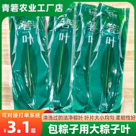 【保鲜粽叶】粽叶批发新鲜粽子叶箬竹叶端午节包子宽叶真空商用
