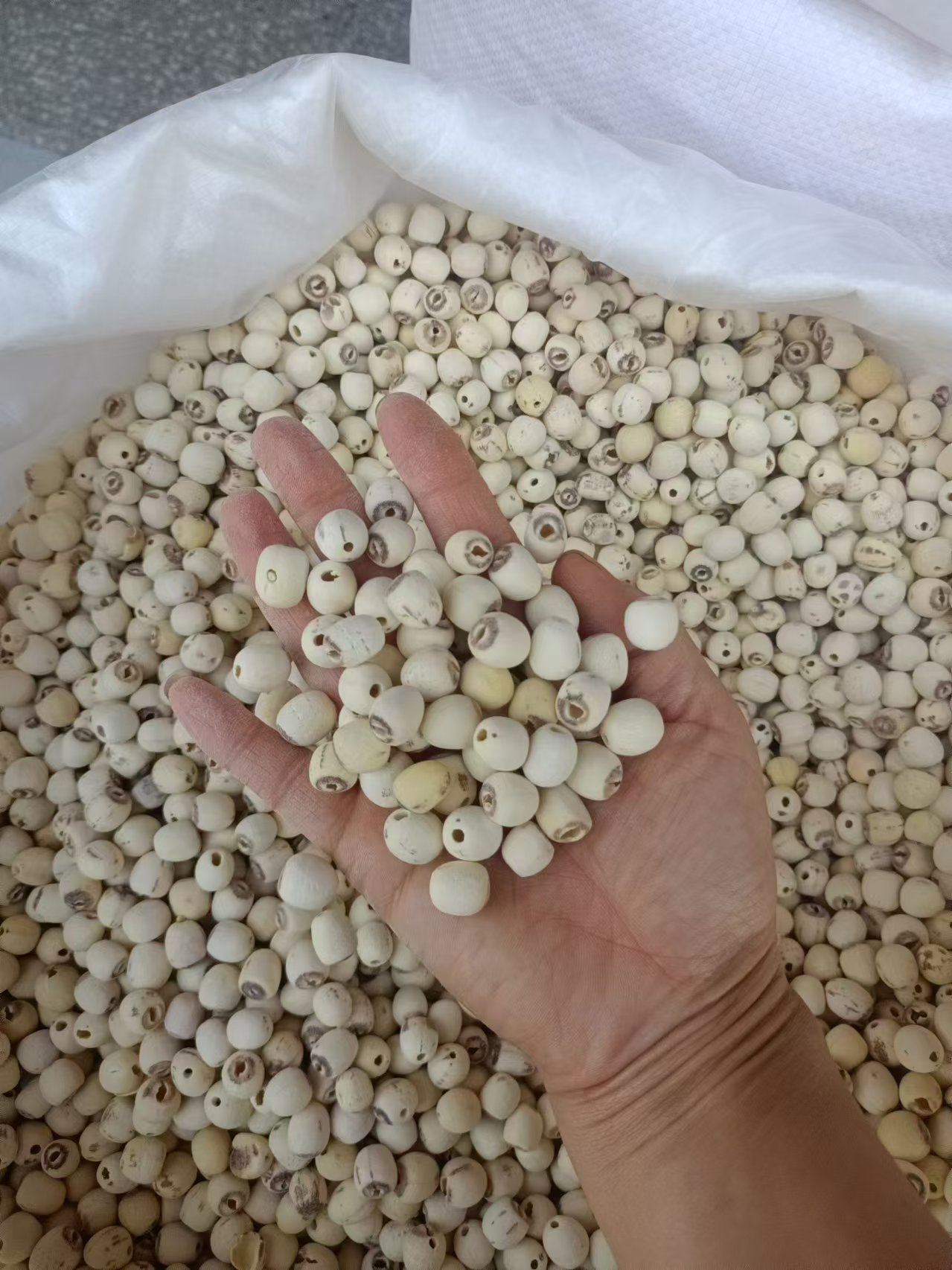 Hunan Peeled White Lotus Seeds Lian Zi 500g Sulphur-Free Core-Removed Food and Herb Use key features