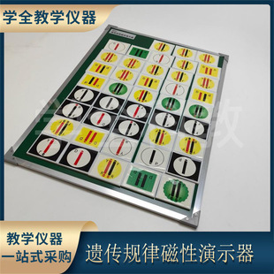 Genetic Law Magnetic Demonstrator Primary Senior high school Universities and Colleges Teaching Instruments Teaching Aware Magnetic Adjustable Biology